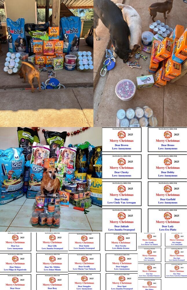 Matlsoana Animal Shelter